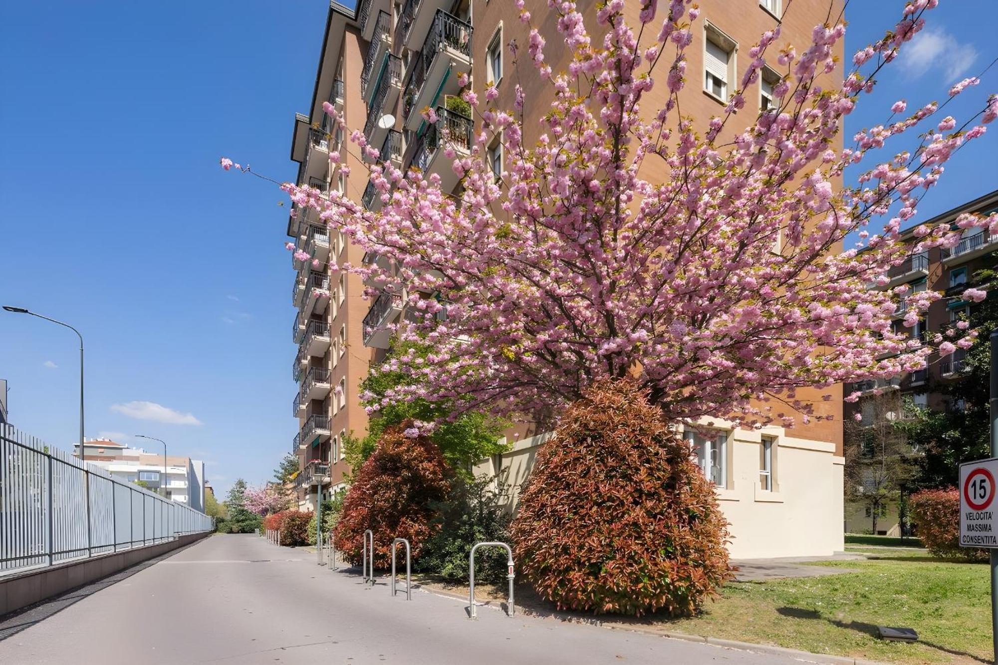 San Siro Arty And Cute Room - Homestay Con Bagno Privato Milan Exterior photo